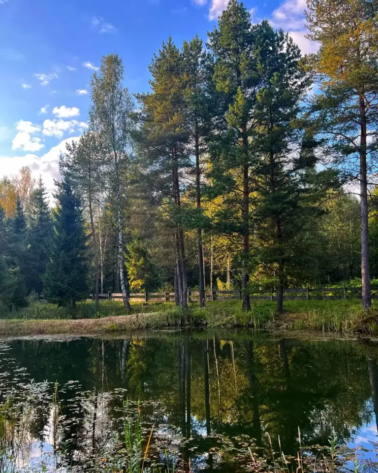 Парк-отель «Заповедник впечатлений Тованово» на Орше