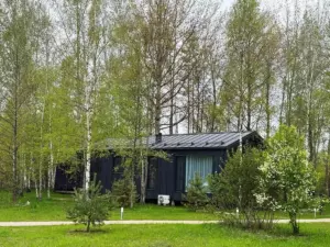 Барнхаус с камином и дровяной купелью до 6 гостей