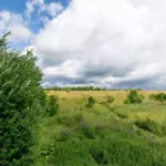 Место отдыха в каталоге