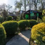 Эко парк-отель Карелия в Новоприморском, общий вид: дорожка между домами