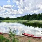 Дома Место Силы в Вельга Парке, общий вид: речка в сосновом бору