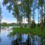 Загородный клуб Ромашка на Вуоксе, общий вид: залив Вуоксы