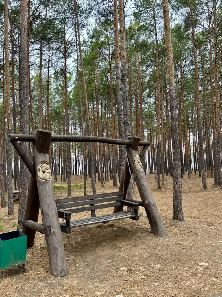 Крытая веранда с мангальной зоной в бору до 50 человек: качели в бору