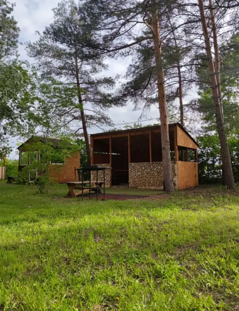 Беседка с мангалом и розетками до 20 человек, Семейный парк «Динамо» в Омске: беседка в бору