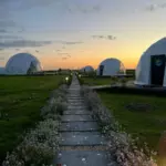 Глэмпинг КосмоСфера на Куршском заливе, общий вид: дорожка к куполам