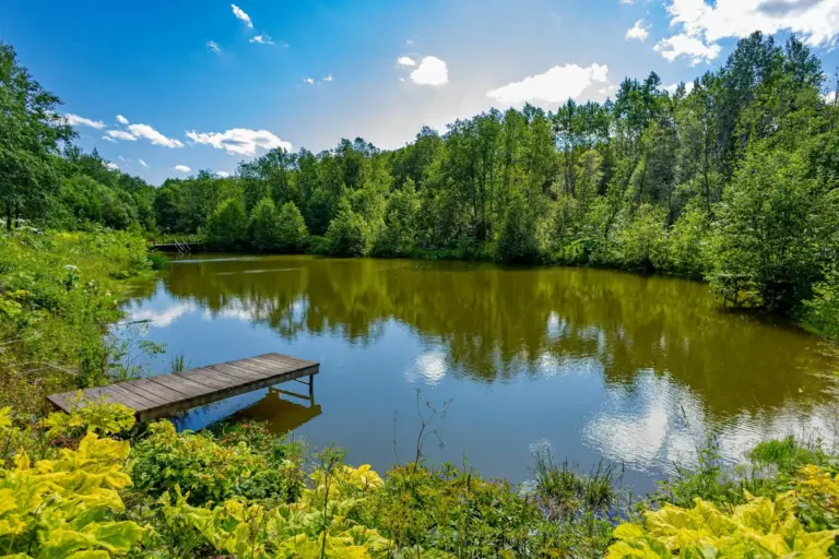 Веслево Клуб