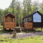 Глэмпинг Rich Life Village на реке Солоница под Ярославлем, общий вид: барнхаусы среди берёз
