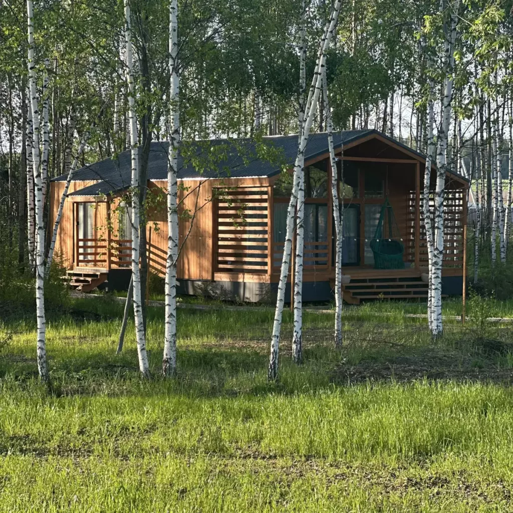 Дом «Прованс» 70 м² с детской и южной террасой до 6 гостей: дом среди берёз
