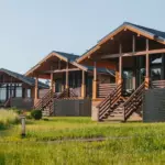 Wish Home Дубовая Роща: лоджи среди вековых дубов, общий вид: лоджи на лугу