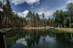 База отдыха «Sherwood Park Hotel» в сосновом лесу под Некрасовским
