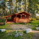 Туркомплекс Снегурия в Мельниково, общий вид: домики в сосновом лесу