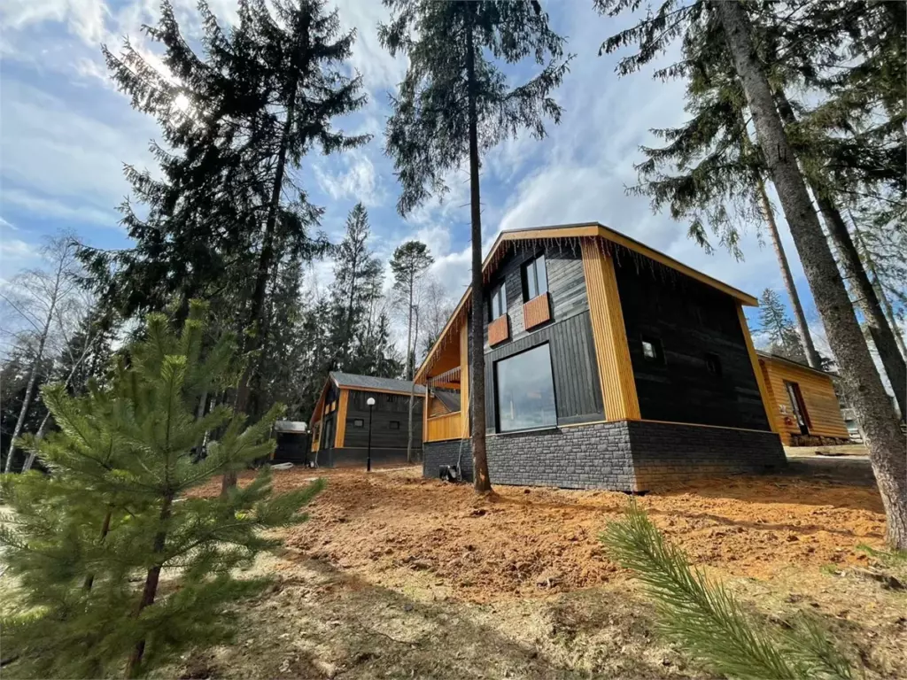 Двухэтажный Black House 120 м² с тремя спальнями, балконом и беседкой до 5 гостей: дом среди сосен