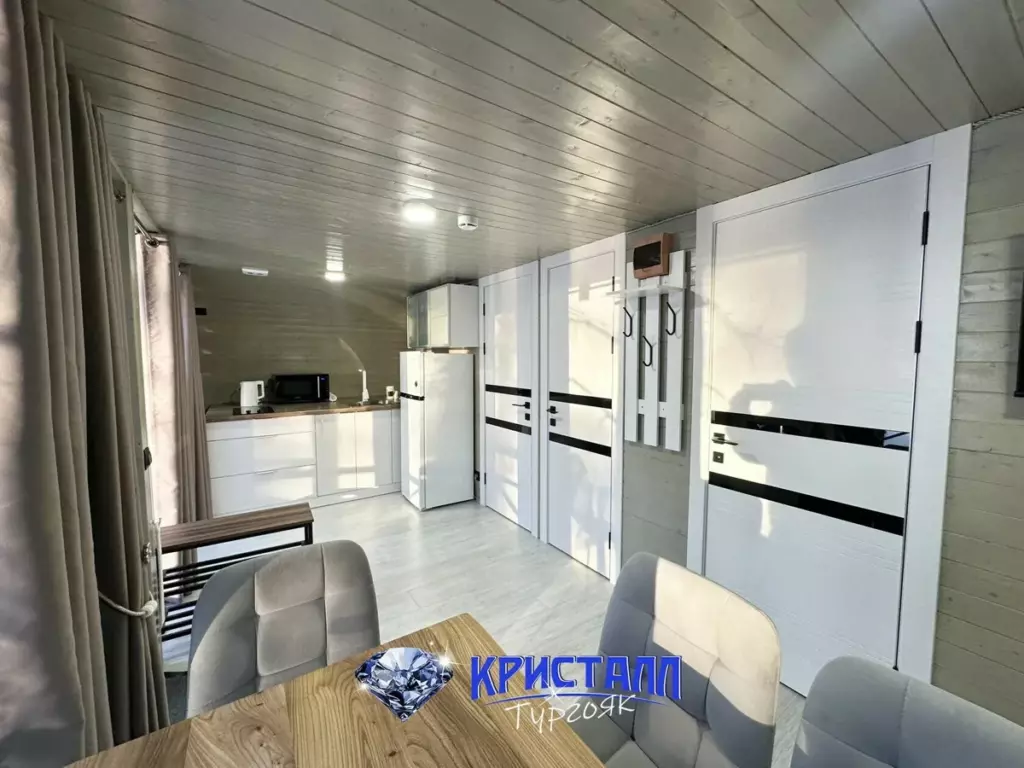 Модульный дом «Капсула» с панорамными окнами до 4 гостей: гостиная и кухня