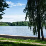 Эко-комплекс Парус Руза на Озернинском водохранилище, общий вид: берег водохранилища