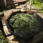 База отдыха Берёзовая роща в Васюково, общий вид: чан с еловыми ветками