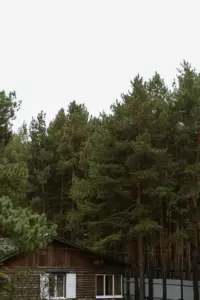 База отдыха «Шышки» в Прудках