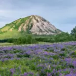 Место отдыха в каталоге