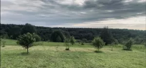 «Рулевка»: дома в полях у деревни Рупусово