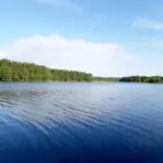 База отдыха Охотник и Рыболов на Раковическом озере, общий вид: Раковическое озеро