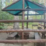 Курорт Утёс на Кисегаче, общий вид: беседка с мангалом в лесу