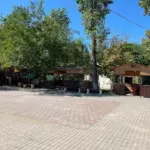 База отдыха Ива тенистая на Левом берегу, общий вид: территория базы летом