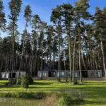 Парк-отель Рассвет на Горьковском море, общий вид: сосновый лес у домов