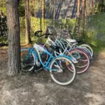 Загородный комплекс Les Holidays в сосновом лесу под Киржачом, общий вид: велосипеды для гостей