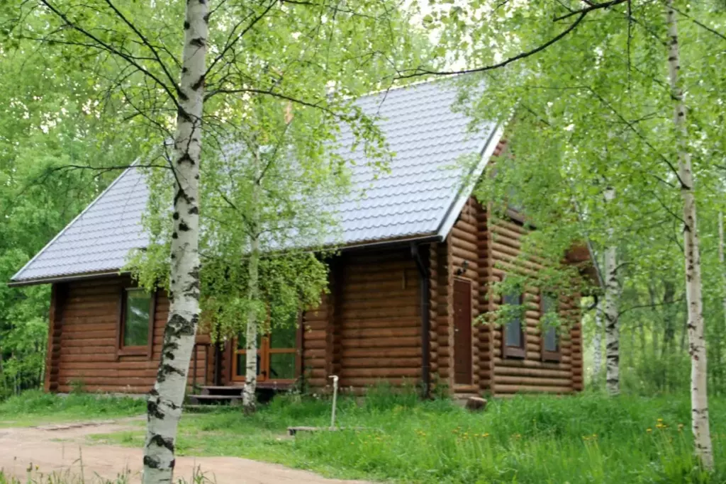 Бревенчатый коттедж «У камина» на 8 гостей: коттедж среди берёз