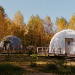 Глэмпинг Holidays Forest на озере Увильды, общий вид: сферы среди берёз осенью