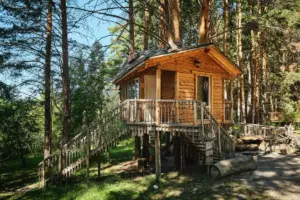 Тёплый домик на шести соснах до 8 гостей