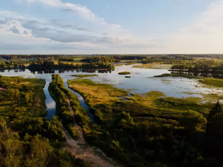 Fraubu.camp на берегу Рузы