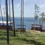 База отдыха Разгуляево на Волге у Красного Яра, общий вид: берег Волги в соснах