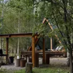 Глэмпинг Live Drive Village в Княжево, общий вид: территория среди сосен