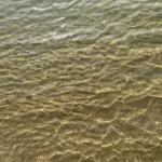 Пляж Hollywood в Азовском районе, общий вид: прозрачная вода у берега